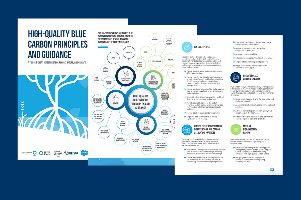 Cover and extracts of the new white paper, in which PlanBlue was consulted.